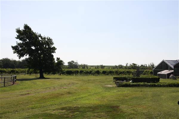Silvertop Farm & Vineyards (9/9/2014)