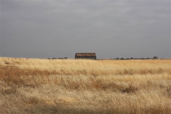 Nightmare in the Country - Kenton Ranch (12/10/2014 - Credits: Yousef Kazemi)