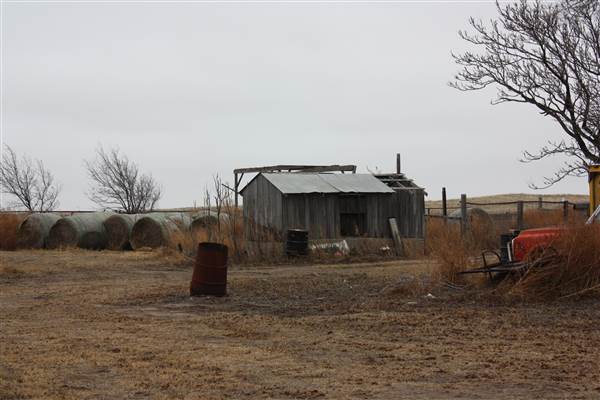 Stout House (12/22/2014)