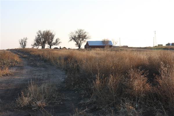 McBee Ranch (12/11/2014 - Credits: Yousef Kazemi)