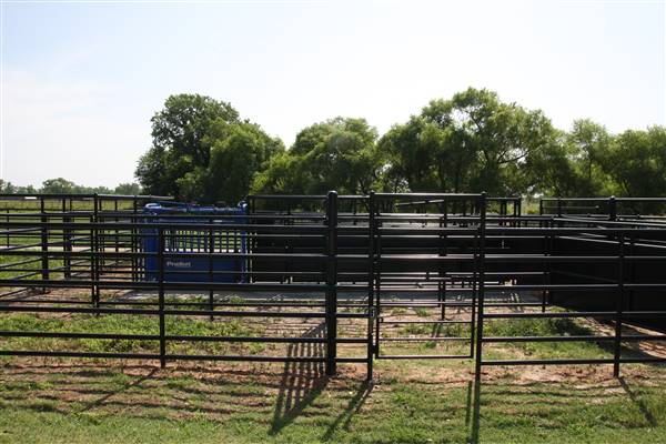 NFL Farms (7/2/2015 - Credits: Yousef Kazemi)
