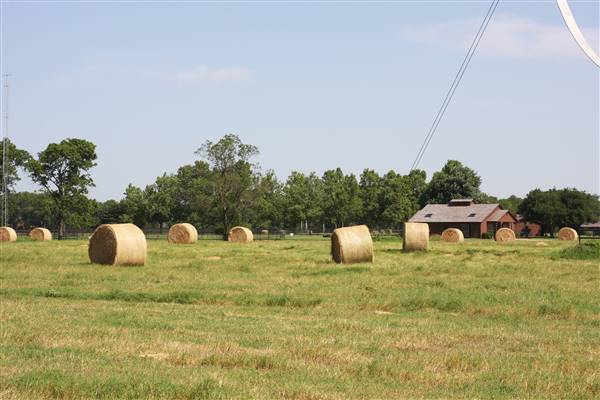 NFL Farms (7/2/2015 - Credits: Yousef Kazemi)