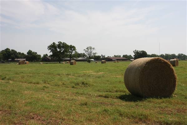 NFL Farms (7/2/2015 - Credits: Yousef Kazemi)