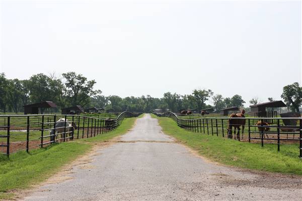 NFL Farms (7/2/2015 - Credits: Yousef Kazemi)