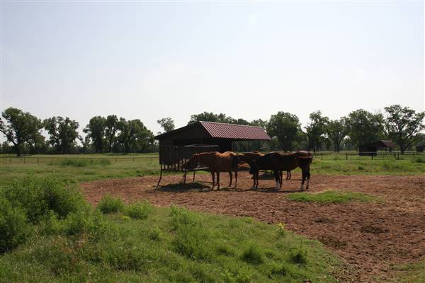 NFL Farms (7/2/2015 - Credits: Yousef Kazemi)