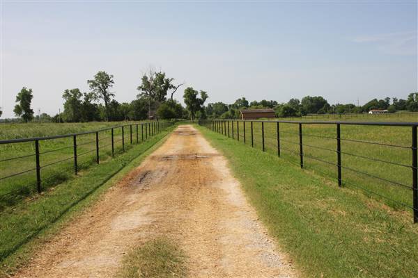 NFL Farms - Second set of horse grazing pens after the main area and passed the worker's houses (7/2/2015 - Credits: Yousef Kazemi)
