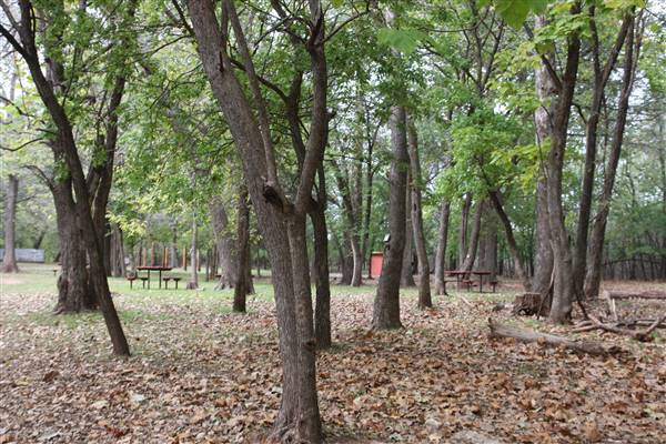 Camp DaKaNi (10/20/2017 - Credits: Christa Whetstone (intern))