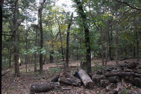 Camp DaKaNi (10/20/2017 - Credits: Christa Whetstone (intern))