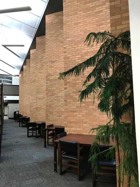 Bartlesville Library (11/22/2017 - Credits: Karen Kerr-McGraw)