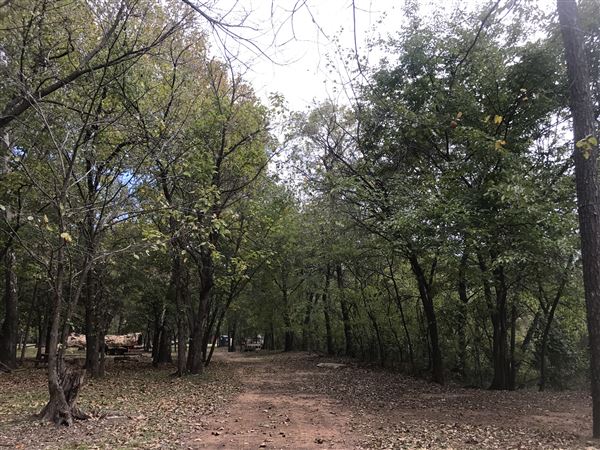Camp DaKaNi (10/20/2017 - Credits: Yousef Kazemi)