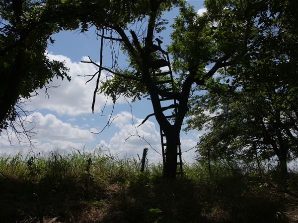 Stinchcomb Wildlife Refuge (7/31/2018 - Credits: Noah Janoe)
