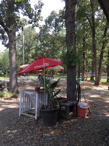 The HochaHut - Outdoor Corn Dog Hut with great outdoor space.Located right off highway 259. (9/5/2019 - Credits: Charity O'Donnell)