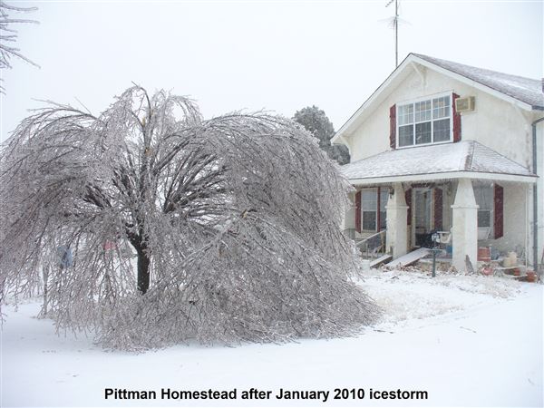 Pittman Homestead (12/16/2019 - Credits: Michael Coucke and Victoria Pittman)