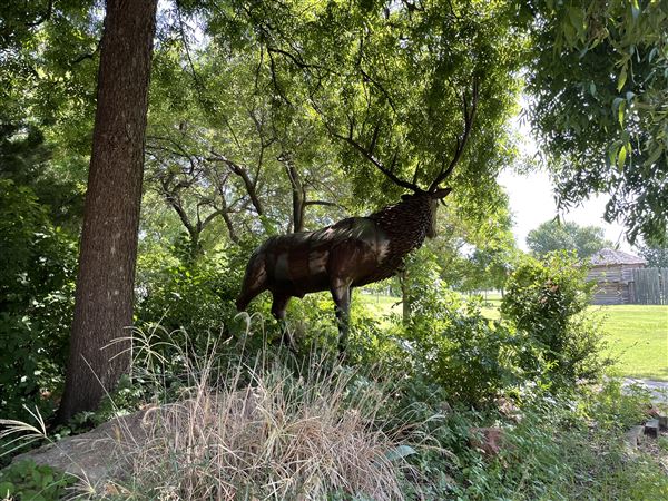 Museum of the Great Plains (7/24/2021 - Credits: Allison Offield)
