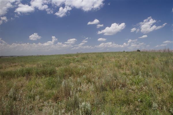 Rydell Ranch - field 6 Rolling farmland with deep canyons, large pond and  Covered in mostly in eastern red cedar and oak trees with native grasses. features slot canyons and waterfalls. (7/28/2021 - Credits: Jeffrey Rydell)