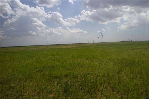 Rydell Ranch - field 7 - Clear cut rolling farmland with few trees. (7/28/2021 - Credits: Jeffrey Rydell)