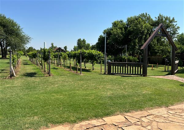 Nellis Vineyards (6/22/2022 - Credits: Yousef Kazemi / OFMO)