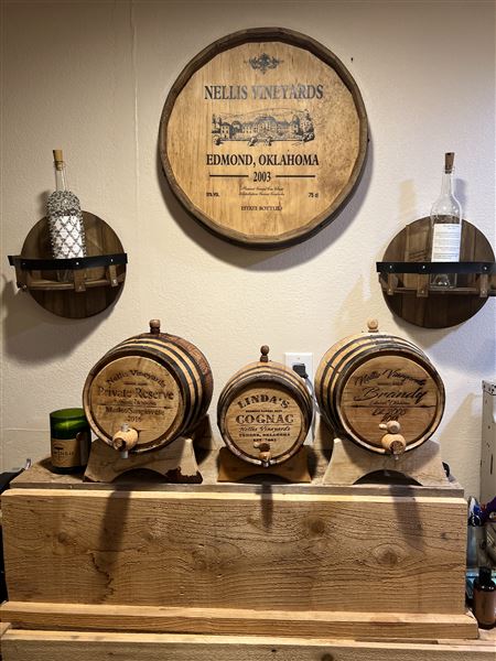 Nellis Vineyards (6/22/2022 - Credits: Yousef Kazemi / OFMO)