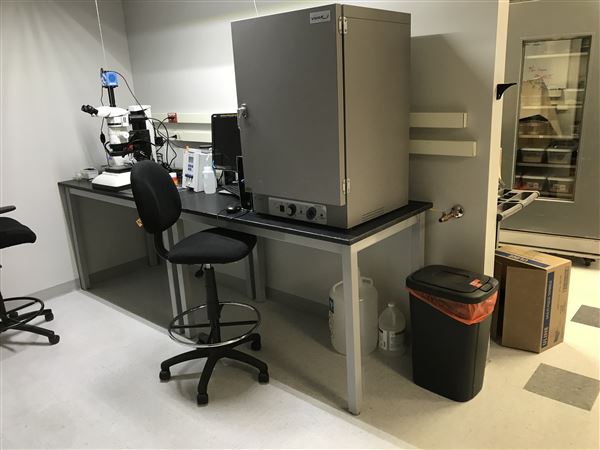All Things Bugs (5/25/2023 - Credits: Dr. Aaron T. Dossey)