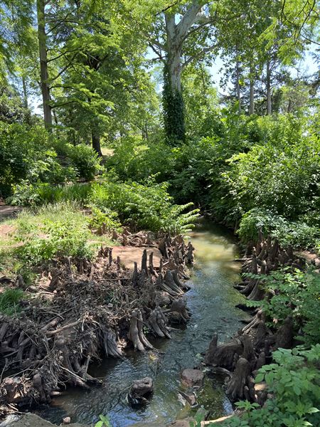 Will Rogers Gardens (5/14/2025 - Credits: Yousef Kazemi / OF+MO)