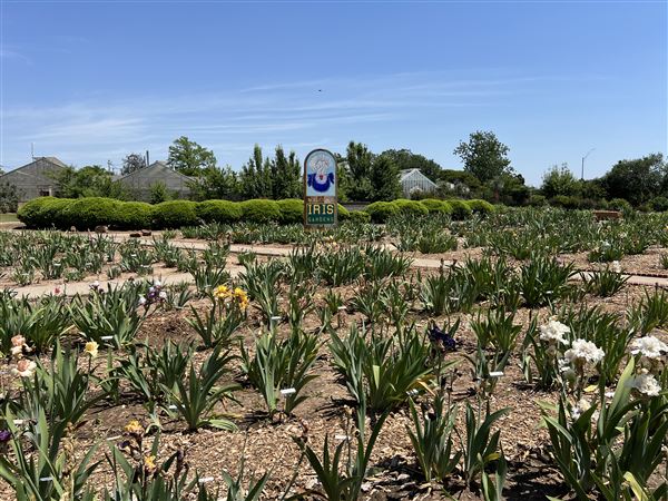 Will Rogers Gardens (5/14/2025 - Credits: Yousef Kazemi / OF+MO)