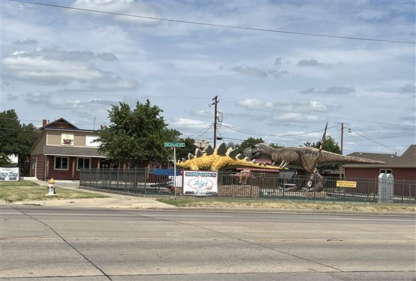 Dinosaur Photo Park (8/25/2023 - Credits: Yousef Kazemi / OF+MO)