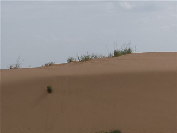 America's Oasis (7/7/2025)