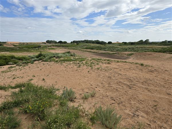 America's Oasis (7/7/2025)