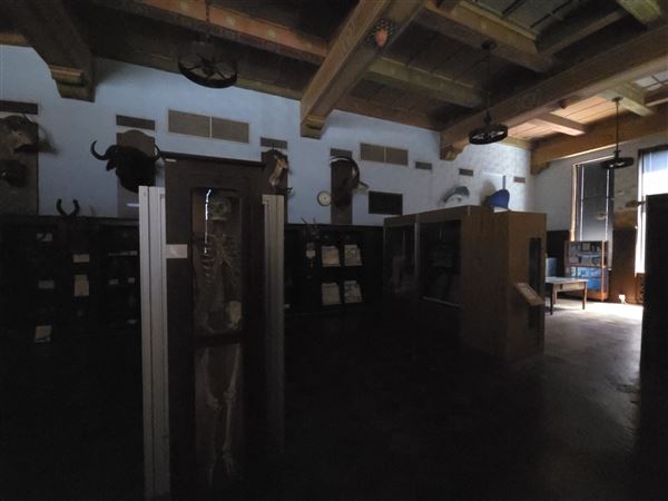 Northwestern Oklahoma State University Museum (7/2/2025 - Credits: Jeremy Zeller)
