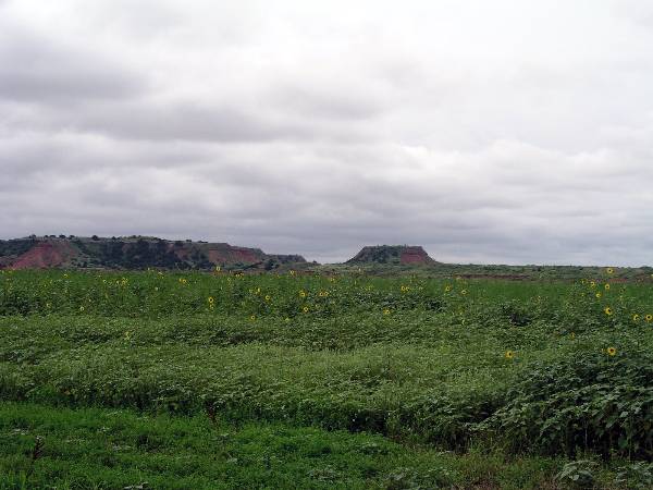 Gloss Mountains (2/5/2009)