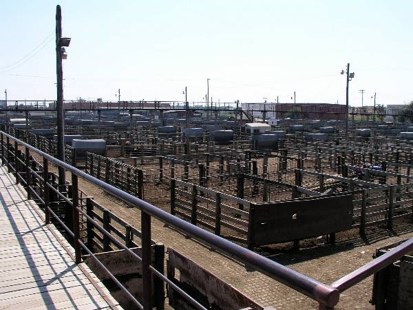 Oklahoma City Stockyards (2/9/2009)