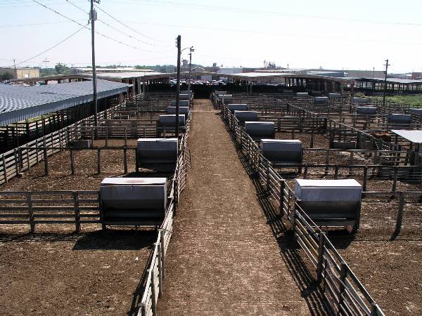 Oklahoma City Stockyards (2/9/2009)