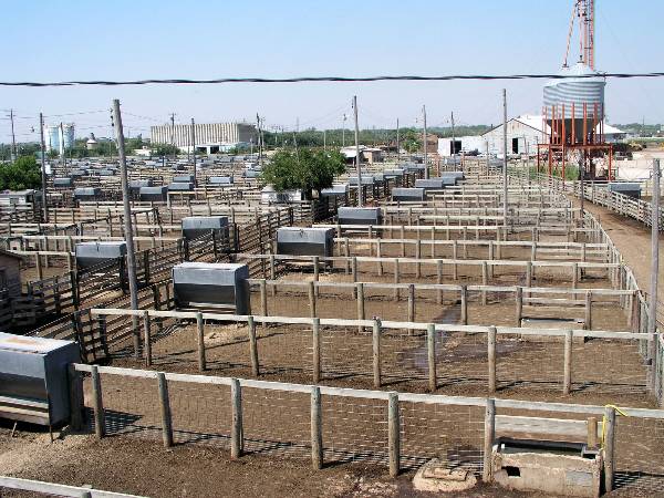 Oklahoma City Stockyards (2/9/2009)