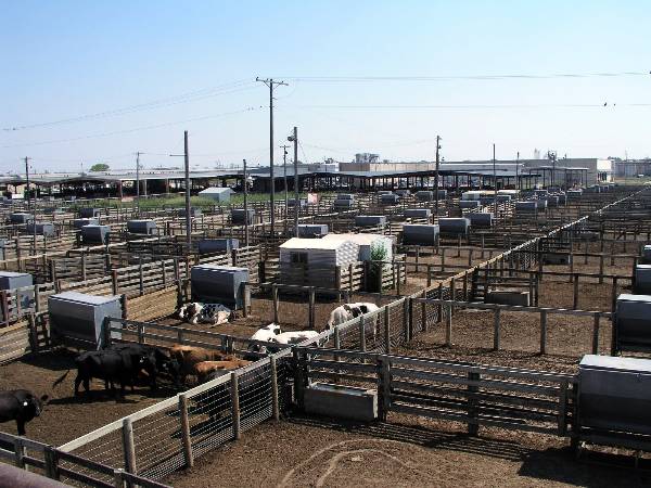 Oklahoma City Stockyards (2/9/2009)