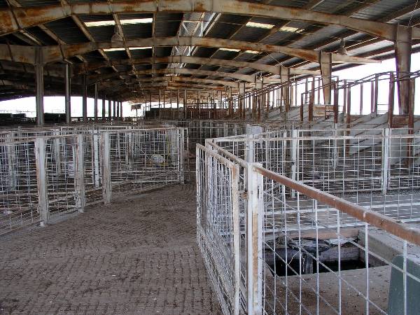 Oklahoma City Stockyards (2/9/2009)