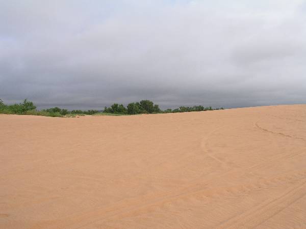 Little Sahara State Park (3/18/2009)