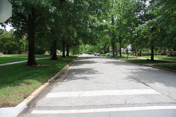 Mesta Park Historical Neighborhood (5/16/2009)