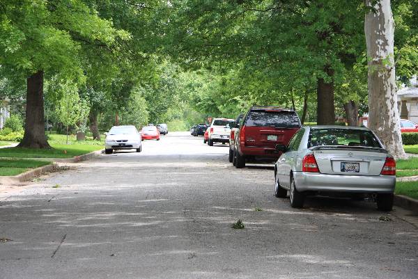 Mesta Park Historical Neighborhood (5/16/2009)