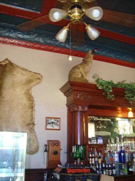 Blue Belle Saloon (5/26/2009)