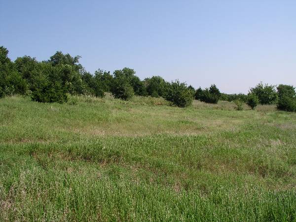 Amen Farm (6/4/2009)