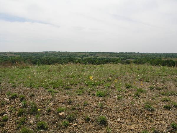 Sugarloaf Ranch (6/24/2009)