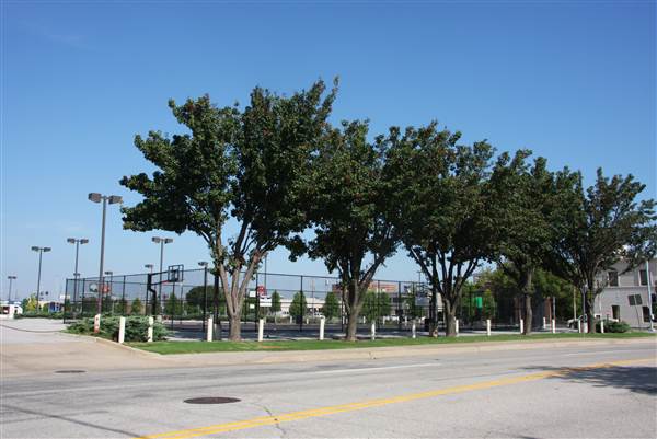 Basketball Court - Downtown Oklahoma City Community Basketball Court (8/1/2013)