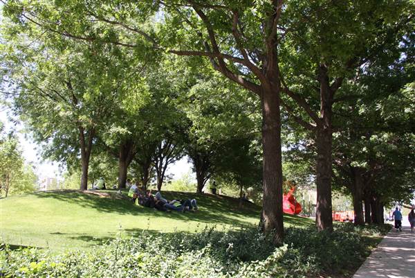 Myriad Botanical Gardens (7/7/2014)