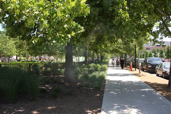 Myriad Botanical Gardens (7/7/2014)