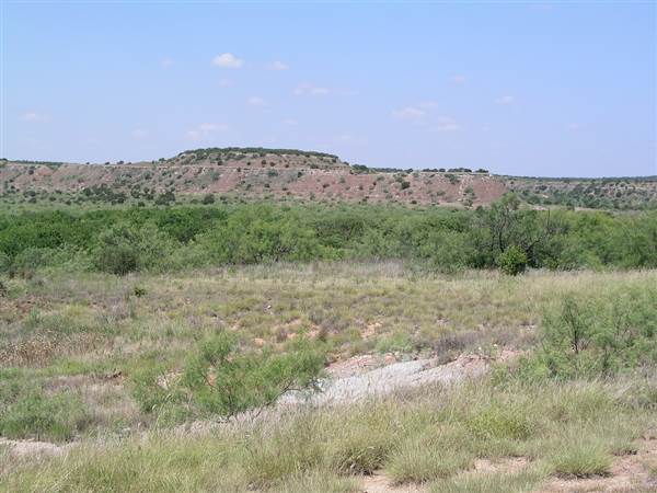 Sandy Sanders Wildlife Management Area