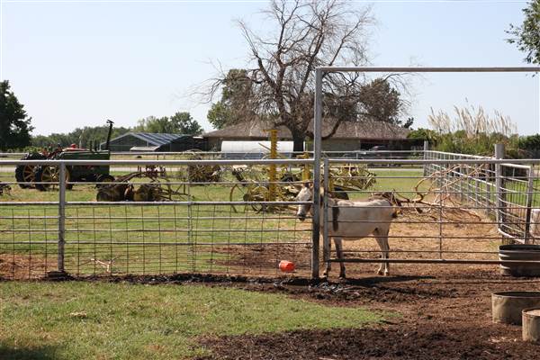 Silvertop Farm & Vineyards (9/9/2014)