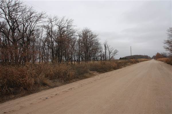 Nightmare in the Country - Kenton Ranch (12/10/2014 - Credits: Yousef Kazemi)
