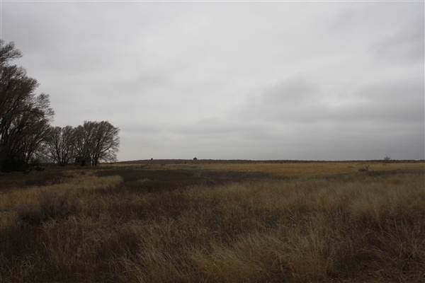 Nightmare in the Country - Kenton Ranch (12/10/2014 - Credits: Yousef Kazemi)
