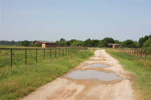 NFL Farms - Second set of horse grazing pens after the main area and passed the worker's houses (7/2/2015 - Credits: Yousef Kazemi)