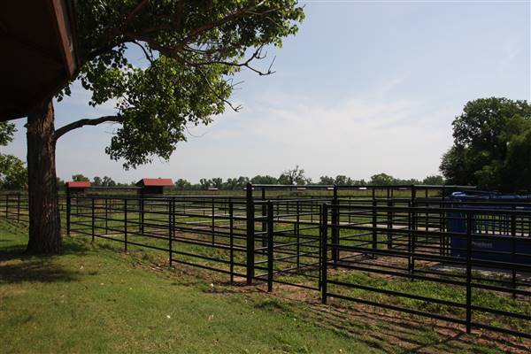 NFL Farms (7/2/2015 - Credits: Yousef Kazemi)